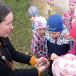 phoca_thumb_m_kytiky a ba 15 Fotogalerie